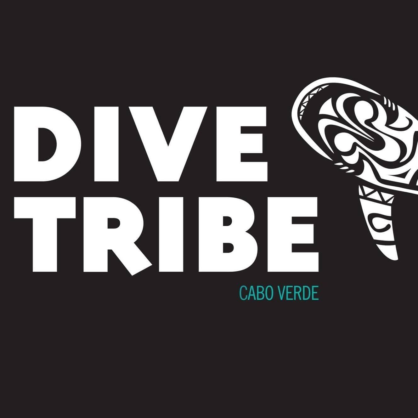 DiveTribe: replacing the clipboard at a dive shop